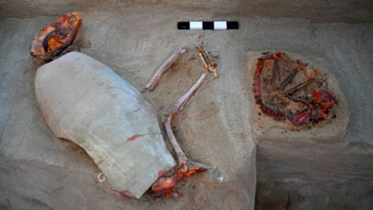 В Древнем Египте обнаружено старейшее кладбище домашних животных