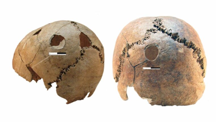 Почему 6200 лет назад десятки людей были зарезаны и похоронены в яме смерти эпохи неолита?