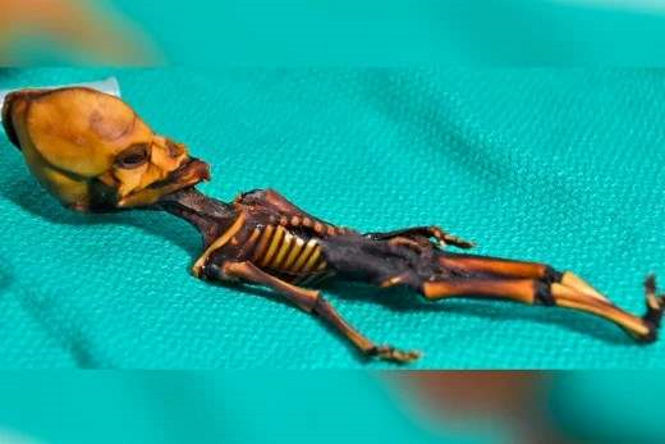 Раскрыта страшная тайна загадочной инопланетной мумии