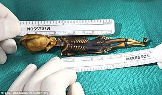 Раскрыта страшная тайна загадочной инопланетной мумии