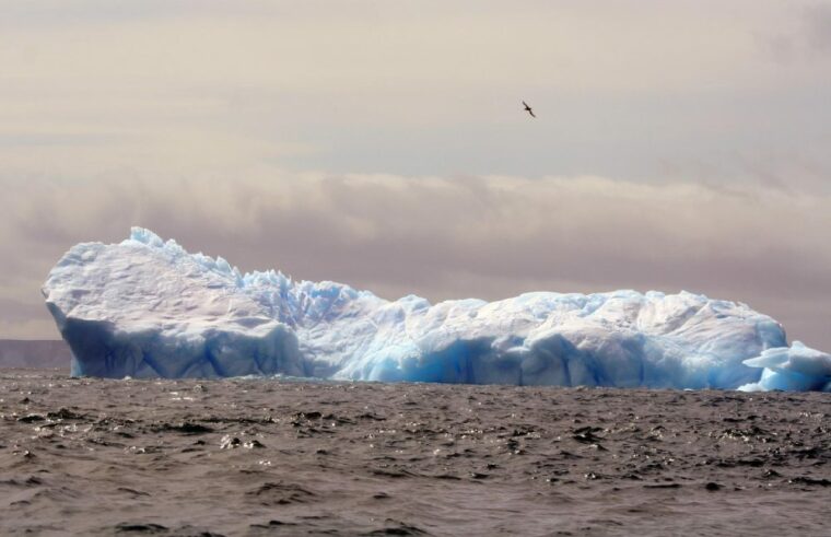 Арктика может стать зеленой и свободной ото льда, как 125000 лет назад