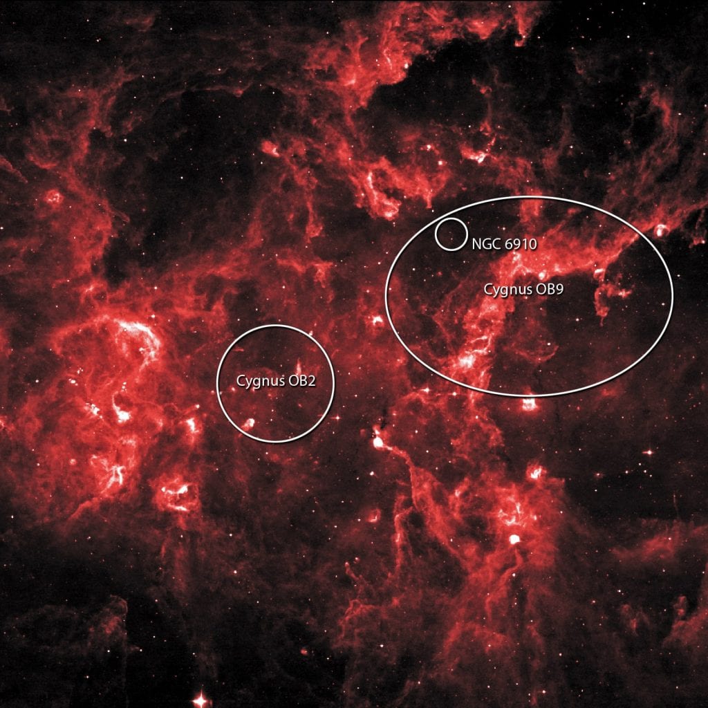 На этом изображении НАСА показаны звездные скопления OB2 и NGC 6910. Предоставлено: NASA / IPAC / MSX.