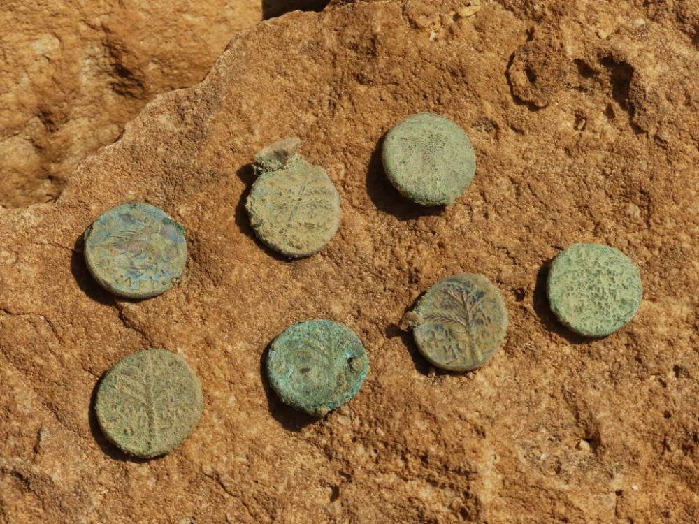 Монеты, найденные в пещерах. Предоставлено: Офер-Сион / Управление древностей Израиля.
