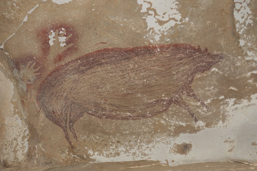 Недавно археологи обнаружили самую старую в мире наскальную живопись животных, обнаруженную в Индонезии. Предоставлено: Максим Обер.