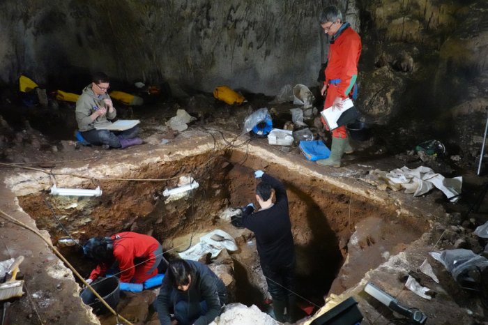 История неандертальцев, извлеченная из пещерных отложений Сибири и Испании - новый метод
