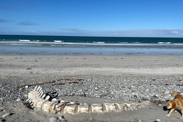 останки найдены на пляже