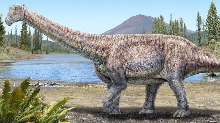 Ученые обнаружили новые виды гигантских динозавров в пустыне Атакама