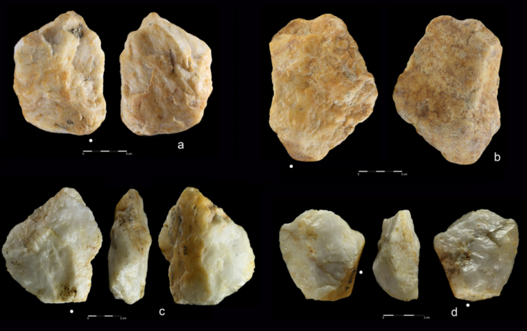 На золотом руднике Сахара найдены захороненные следы древнего человека, возраст которых насчитывает миллион лет