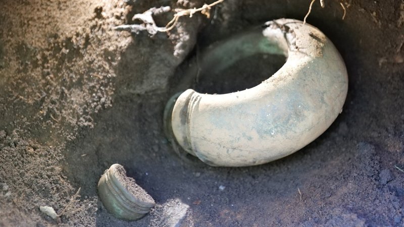 Уникальное сокровище бронзового века, обнаруженное в шведском лесу, было подарком скандинавским богам 