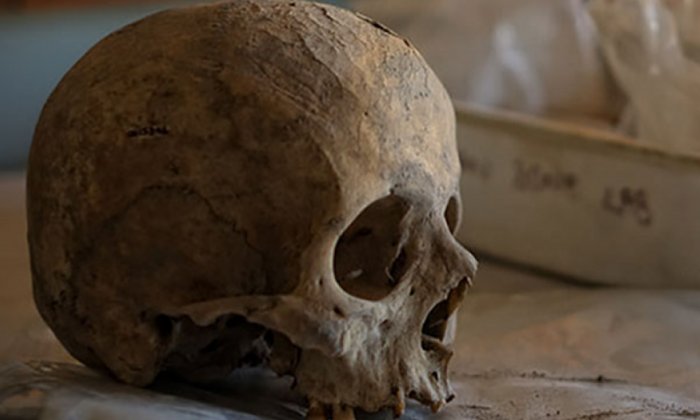 ДНК останков 10,000-летних скелетов и родство с первыми поселенцами мира