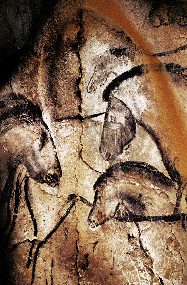 Наскальные рисунки в пещере Шове - одни из самых сложных и подробных примеров доисторического искусства в мире. По рисункам специалисты определили как минимум 13 различных видов животных. Предоставлено: Фонд Брэдшоу.