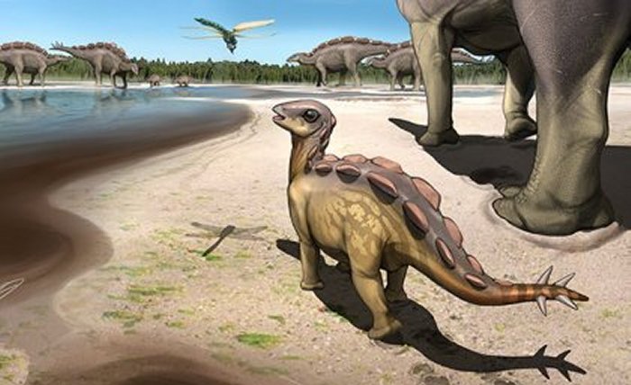 Этот крошечный стегозавр размером с кошку жил 100 миллионов лет назад