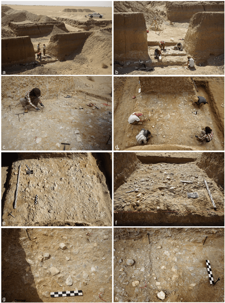  Археологи раскопали несколько нетронутых участков в заброшенном золотом руднике в Сахаре и нашли сотни древних инструментов. Предоставлено: Мирослав Масойч.