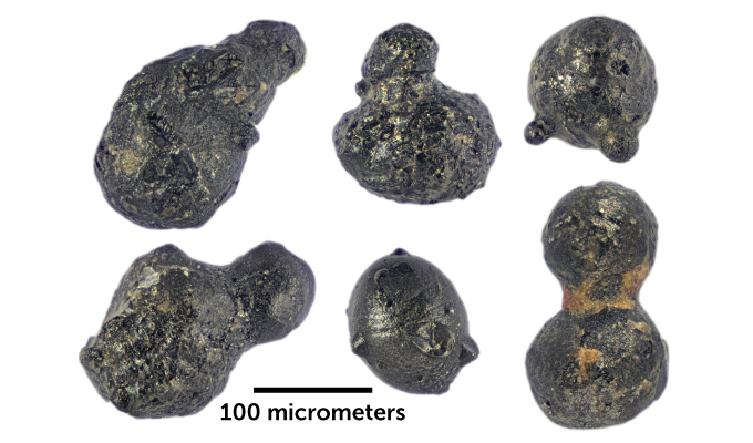 Некоторые из миниатюрных фрагментов метеорита, найденного геологами в Антарктиде. Предоставлено: Скотт Петерсон.