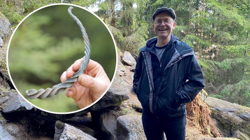Уникальное сокровище бронзового века, обнаруженное в шведском лесу, было подарком скандинавским богам