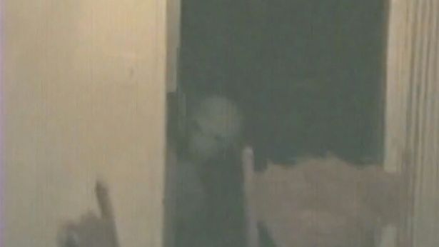 Кадр из домашнего видео Романека, на котором запечатлен маленький инопланетянин на его кухне.