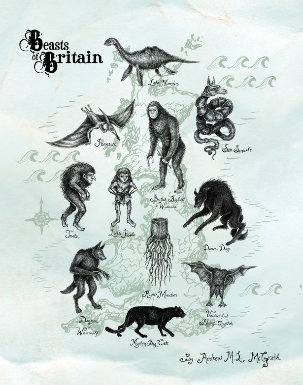 Обложка увлекательной книги Энди «Звери Британии», которую можно купить на Amazon.
