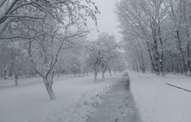 В Центральной России выпал весенний снег