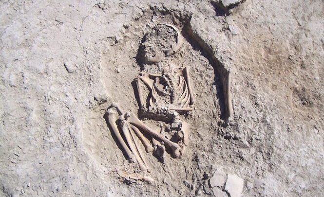 Скелет ребенка возрастом 5700 лет обнаружен в Турции