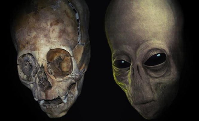Обнаруженные в Перу вытянутые черепа принадлежат инопланетянам