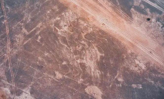 Гигантский геоглиф обнаружен в индийской пустыне Тар