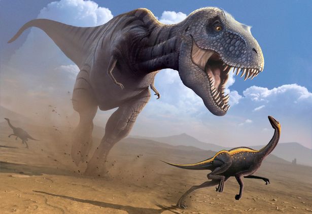 Компьютерное изображение динозавра Tyrannosaurus rex, охотящегося на динозавра Ornithomimus. T. rex был одним из крупнейших хищных динозавров. Он был около 6 метров в высоту и весил около 7 тонн. T. rex жил в Северной Америке и Азии в конце мелового периода, между 85 и 65 миллионами лет назад. Голова крепкого телосложения с острыми зубами хищника. Считается, что T. rex собирал падаль, а также охотился в поисках пищи. Динозавр орнитомим был около 6 метров в длину и 2 метра в высоту. Это было всеядное существо. Он был быстрым и маневренным, и считалось, что он способен развивать скорость до 70 километров в час. Он жил 76-65 миллионов лет назад.