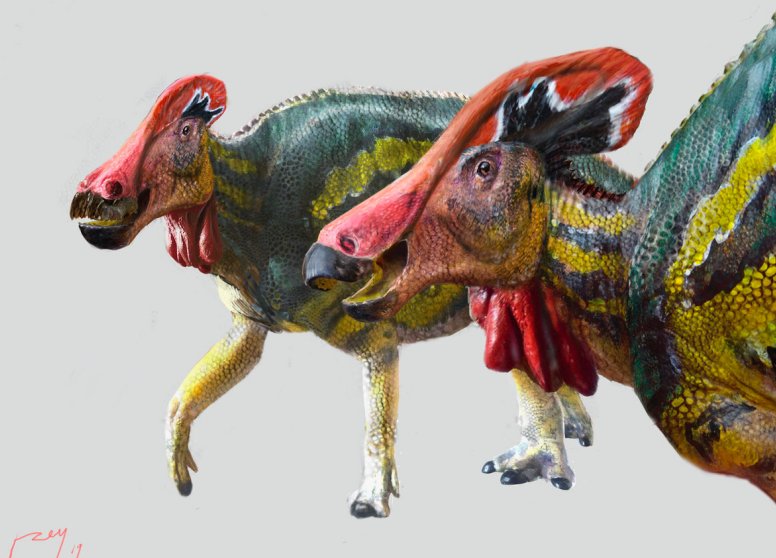Мексиканские палеонтологи идентифицировали новые гигантские виды динозавров, издающих громкие звуки 