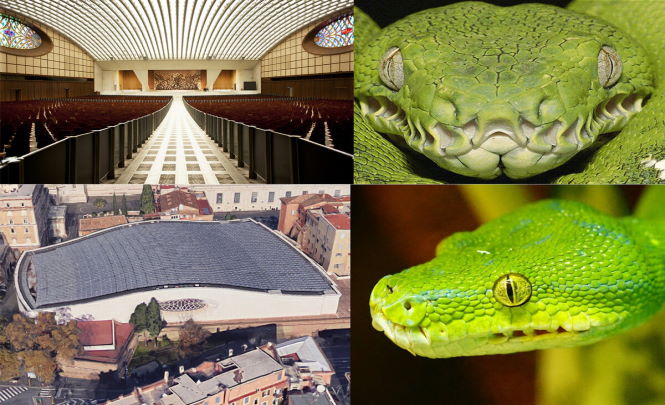 “Рептилоиды Ватикана”. Что увидели конспирологи в Папском зале?