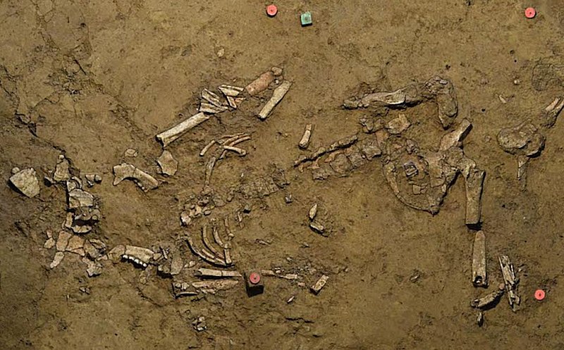 Найденное женское захоронение эпохи ранней бронзы. Зеленая булавка (вверху в центре) отмечает место, где была обнаружена золотая спираль.