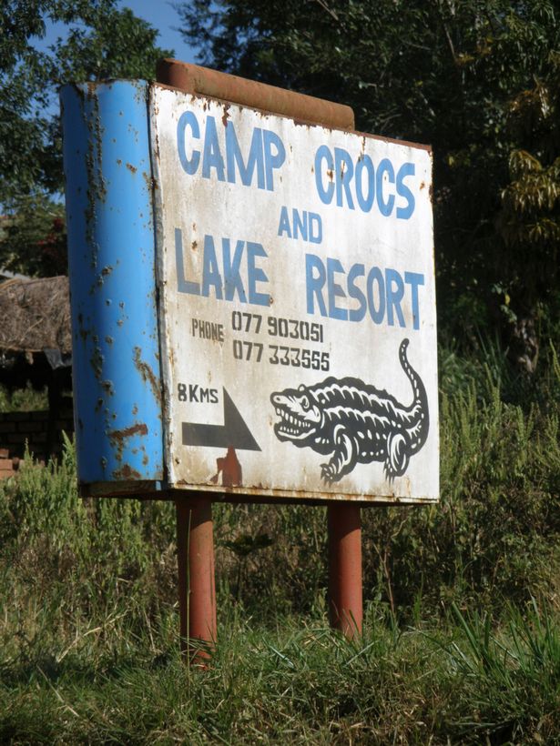 Усама теперь используется для разведения на крокодиловой ферме, где кожа рептилий продается модельерам.