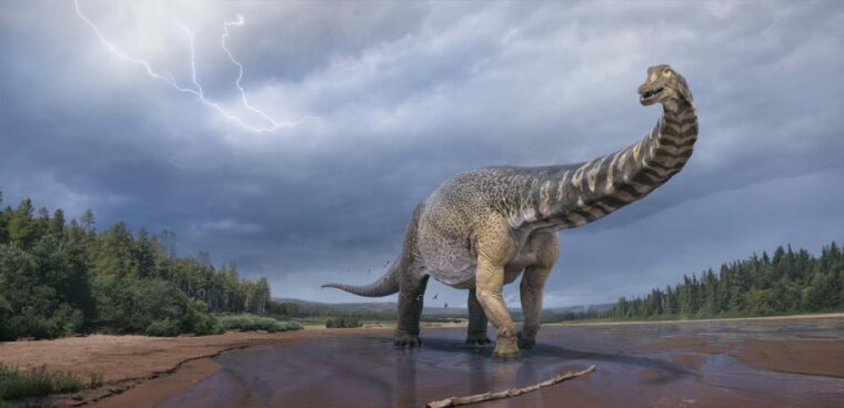 10 вещей, которые вам нужно знать о самом большом динозавре Австралии