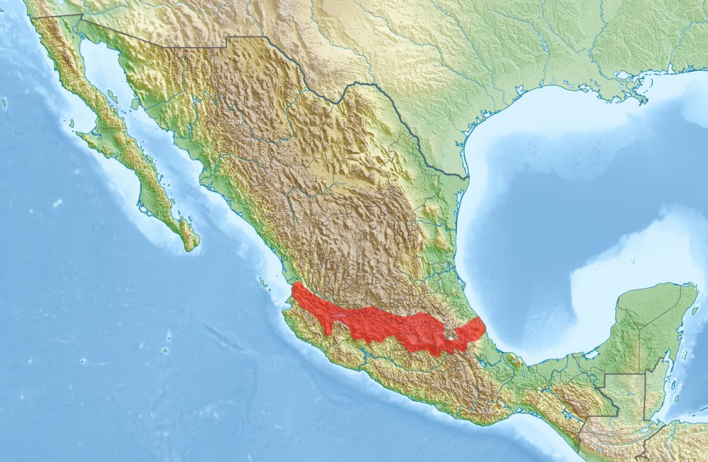 Карта широко распространенного вулканического поля Мичоакан-Гуанахуато