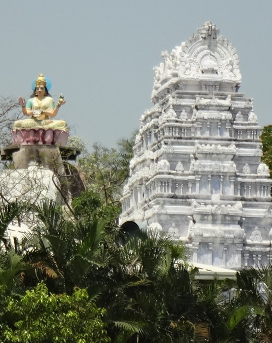 Храм Басара Гнана Сарасвати посвящен богине Сарасвати Деви. 
