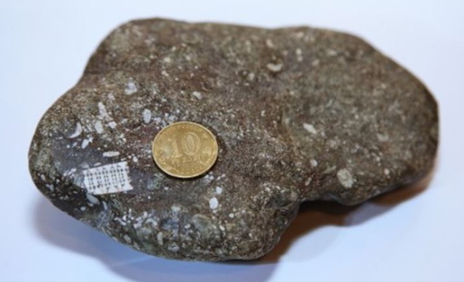 Загадочный «микрочип» был обнаружен в камне возрастом 250 миллионов лет.