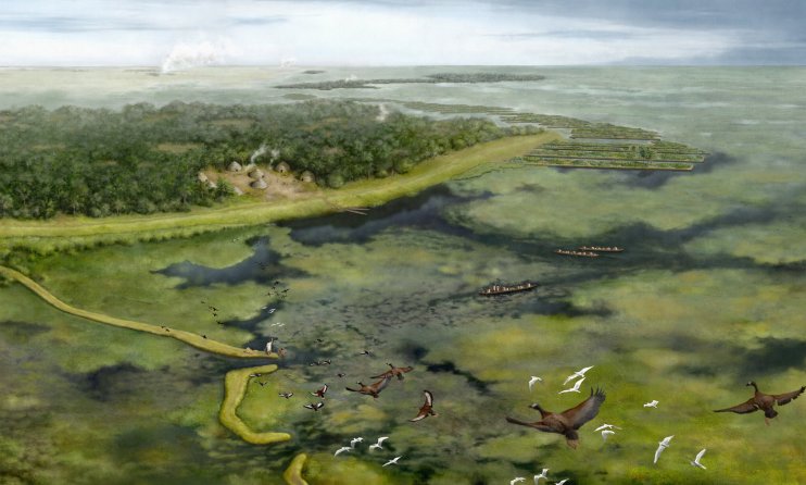 Доколумбовые жители Амазонки изменили свой ландшафт на тысячи лет раньше, чем предполагалось ранее