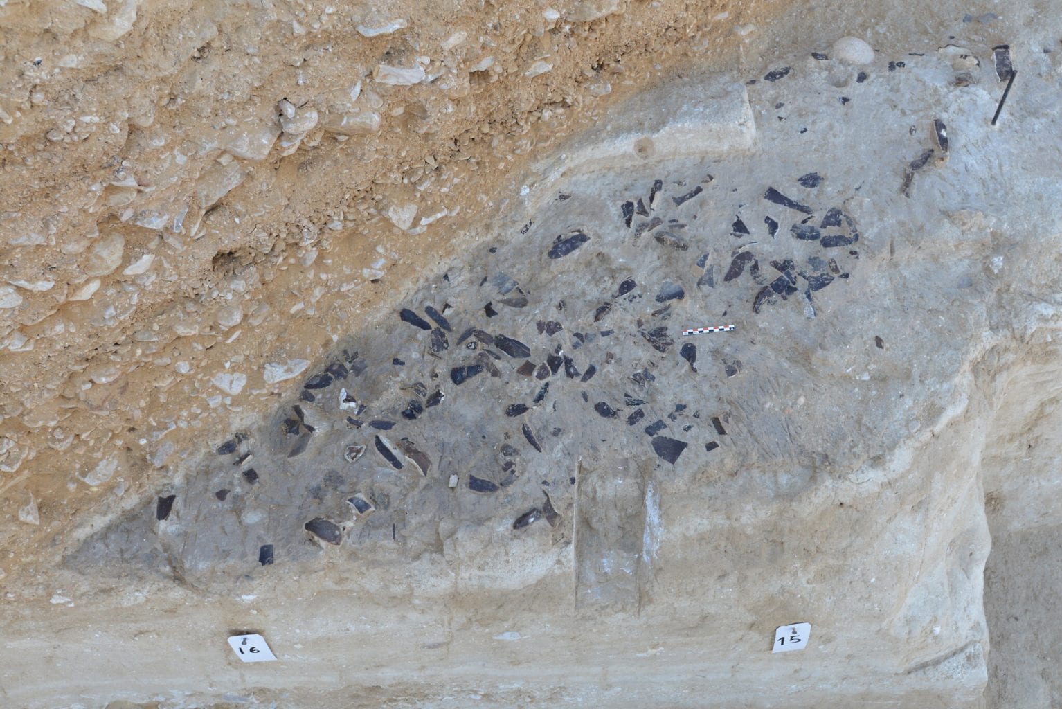 Слой кремневых орудий раннего верхнего палеолита. Это то, что археологи обычно находят на древних памятниках. Фото: профессор Элизабетта Боаретто, Институт науки Вейцмана.