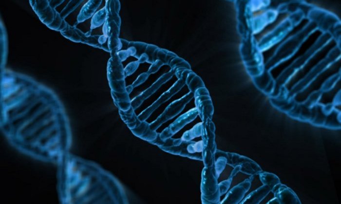 Клетки человека могут записывать последовательности РНК в ДНК