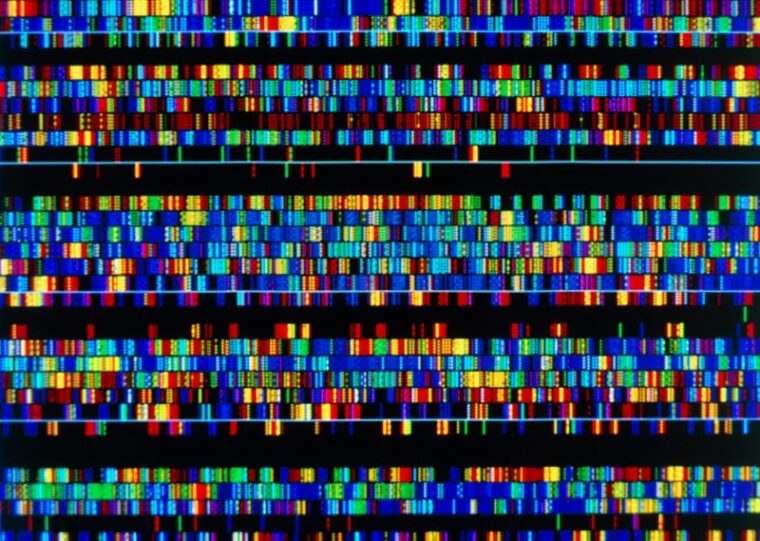 Мы наконец-то нанесли на карту весь геном человека