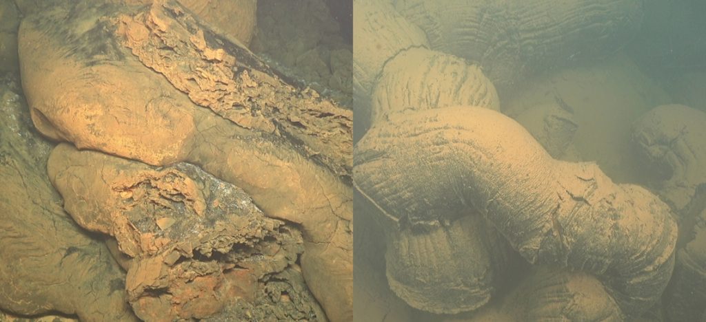 первые изображения подводный вулкан майотта, первые изображения подводный вулкан майотта видео, первые изображения подводный вулкан майотта фото