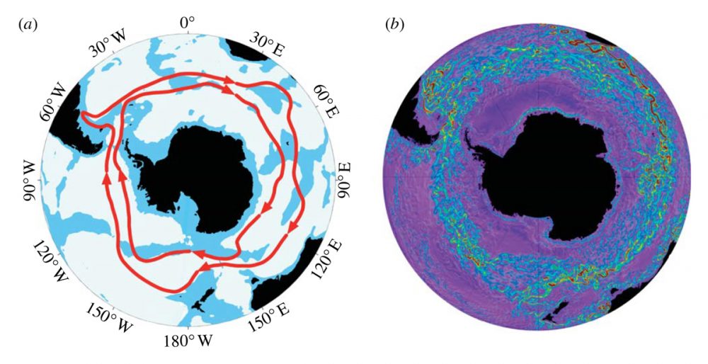 Циркумполярное течение Антарктики - единственное течение на Земле, которое идет и замыкается в цикмполярной петле. Предоставлено: Enviromnemtal Science & Engineering, Физическая океанография в Калтехе.
