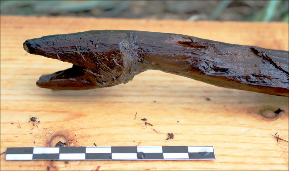 Змеиный посох 4400-летнего возраста, использованный в древних ритуалах, обнаруженный в Финляндии