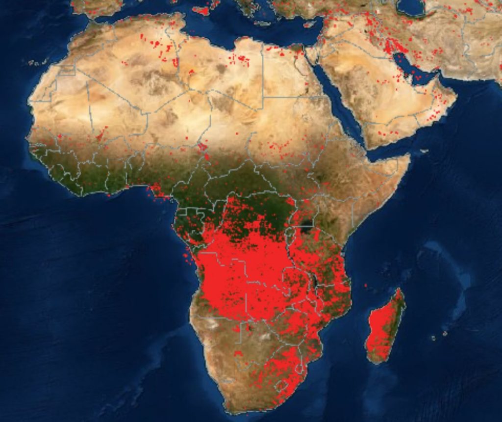пожары по всему миру, пожары в Африке и на Ближнем Востоке, карта пожаров по всему миру, карты пожаров по всему миру