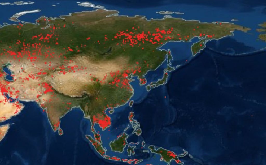 пожары по всему миру, пожары в Азии и крайнем Востоке, карта пожаров по всему миру, карты пожаров по всему миру