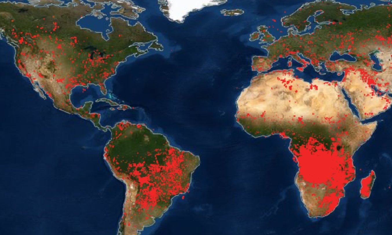Карты продолжающихся лесных пожаров по всему миру ужасают, а Африка выглядит так, будто окрасилась в оранжевый цвет.