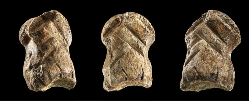 51000-летняя резьба по кости показывает, что неандертальцы были артистами задолго до появления людей