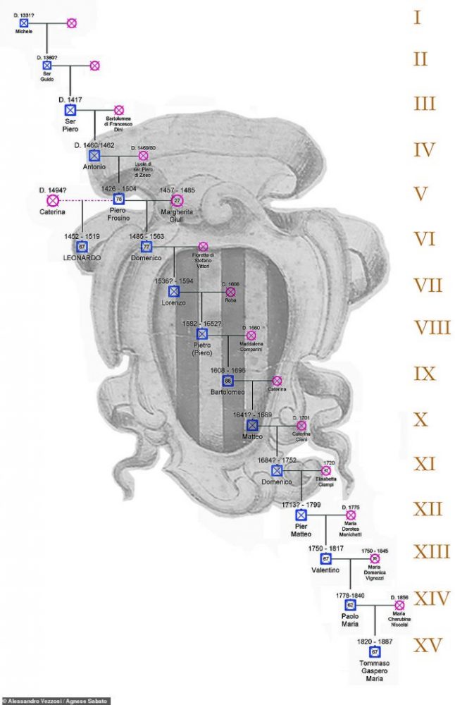 Генеалогическое древо семьи Леонардо да Винчи (показано до пятнадцатого поколения). Предоставлено: Алессандро Веццози и Аньезе Сабато.