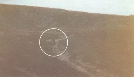 Британский полицейский сделал самый надежный снимок инопланетного существа и увидел НЛО в 1987 году 3