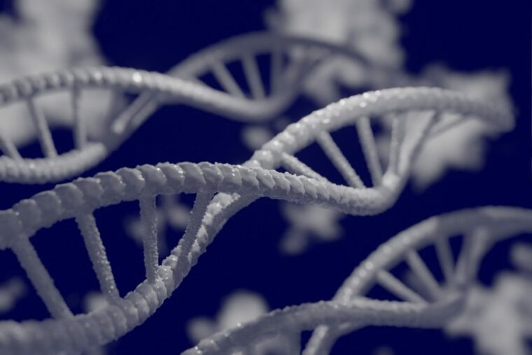 Только 7% нашей ДНК уникальны для современного человека