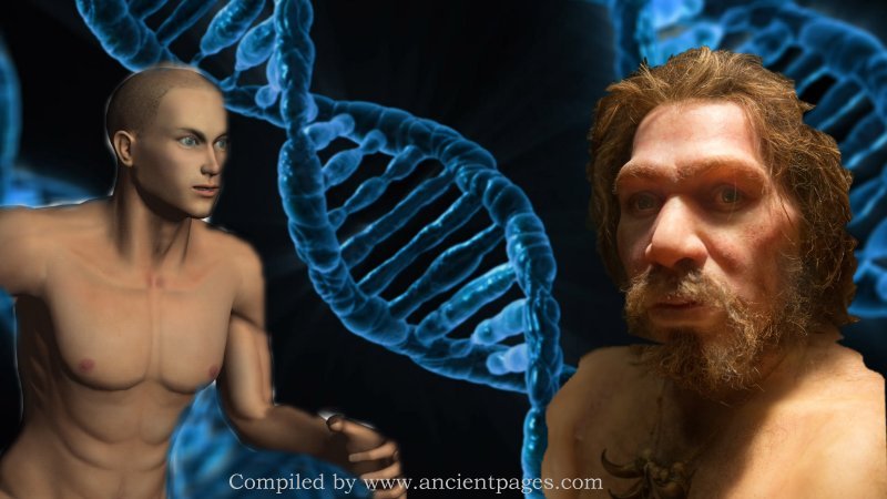 Только 7% нашей ДНК уникальны для современного человека - мы мало чем отличаемся от неандертальцев