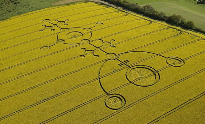Загадочные круги на полях. Следы инопланетян или сельхозработы